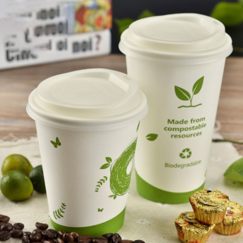 Eco cup