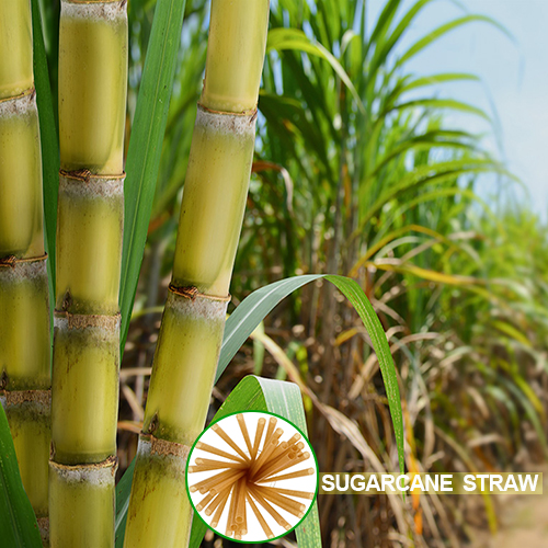 Eco straw