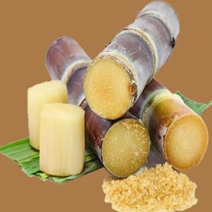 Introduction of sugar bagasse straw