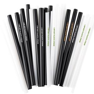 PLA printed straw