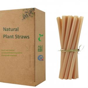 Sugarcane straw 